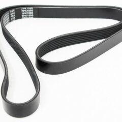 COURROIE POLY V 300TDI