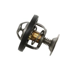 THERMOSTAT 300 TDI