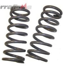 RESSORTS ARRIERE TERRAFIRMA MEDIUM