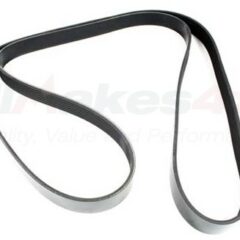 COURROIE POLY V ACCESSOIRES V8