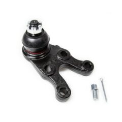 ROTULE INFERIEURE DROITE