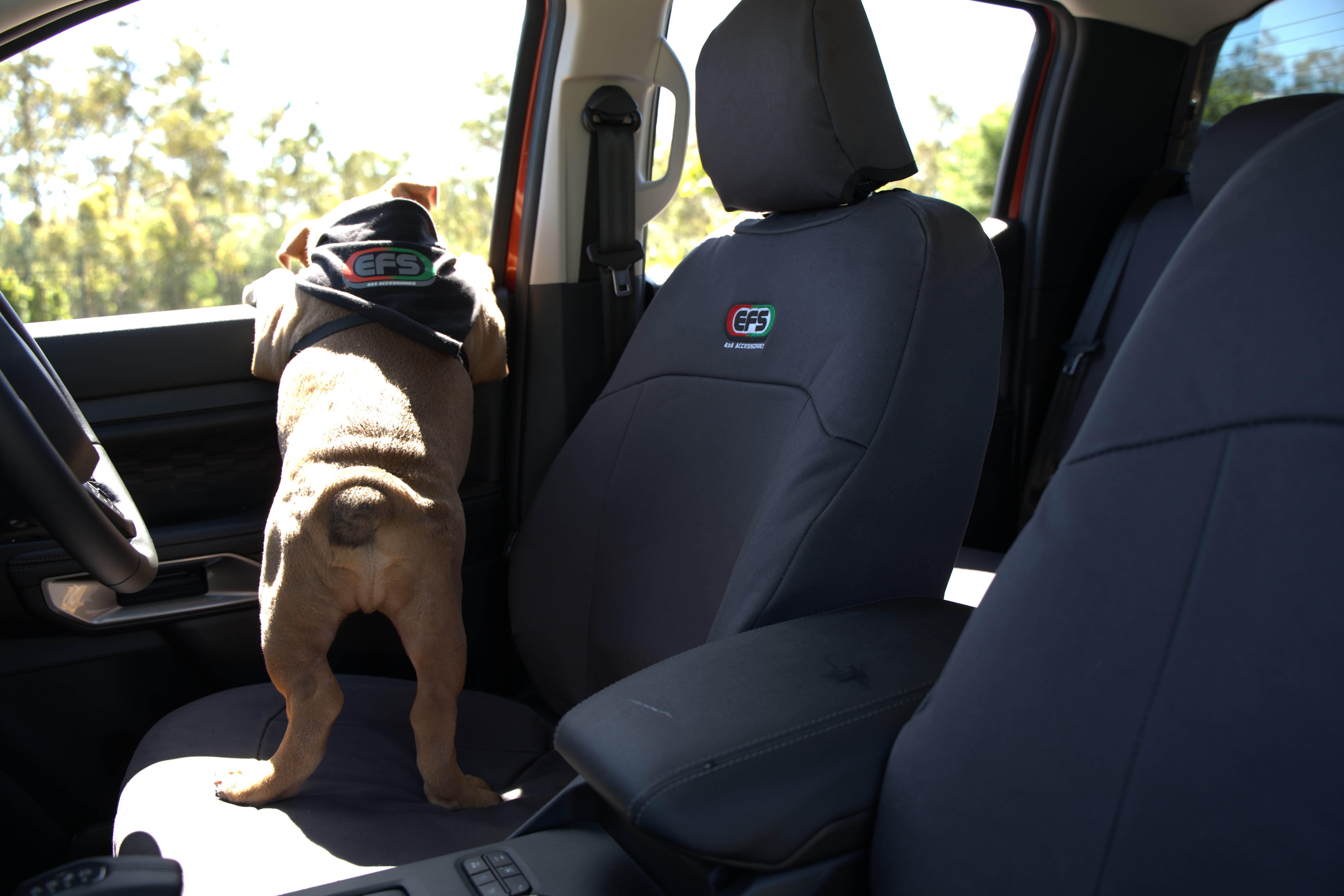 Housse de siège avant TOYOTA HILUX Revo EFS